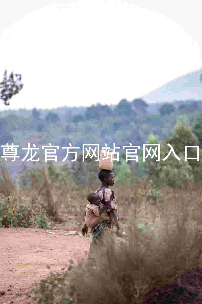 尊龙官方网站官网入口