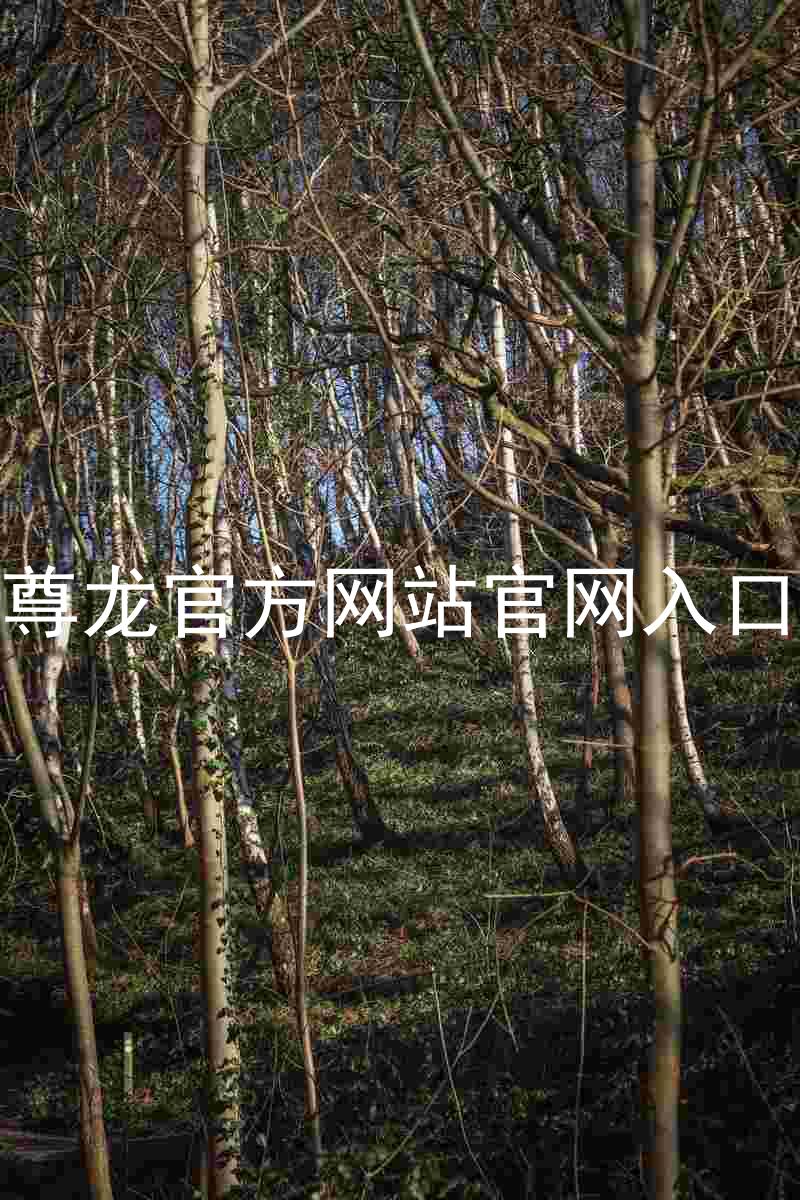 尊龙官方网站官网入口