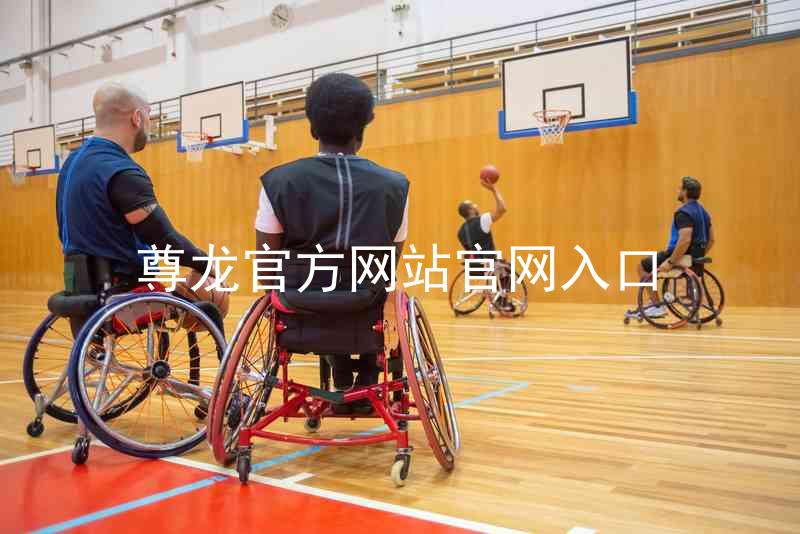 尊龙官方网站官网入口