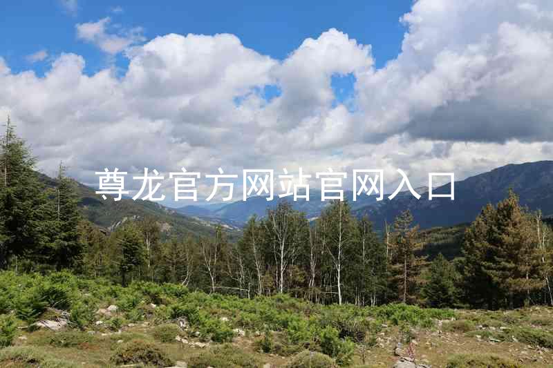 尊龙官方网站官网入口