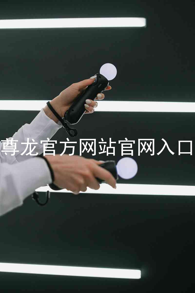 尊龙官方网站官网入口