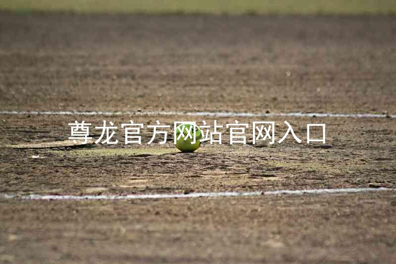 尊龙官方网站官网入口