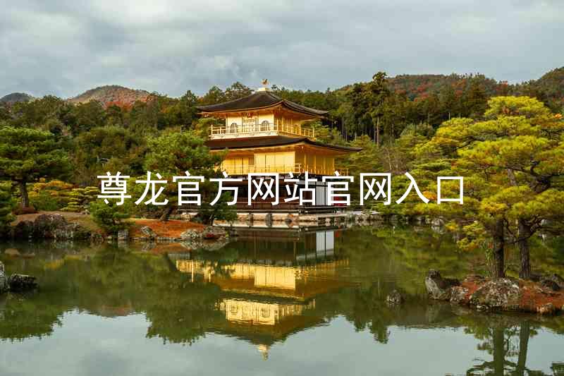 尊龙官方网站官网入口