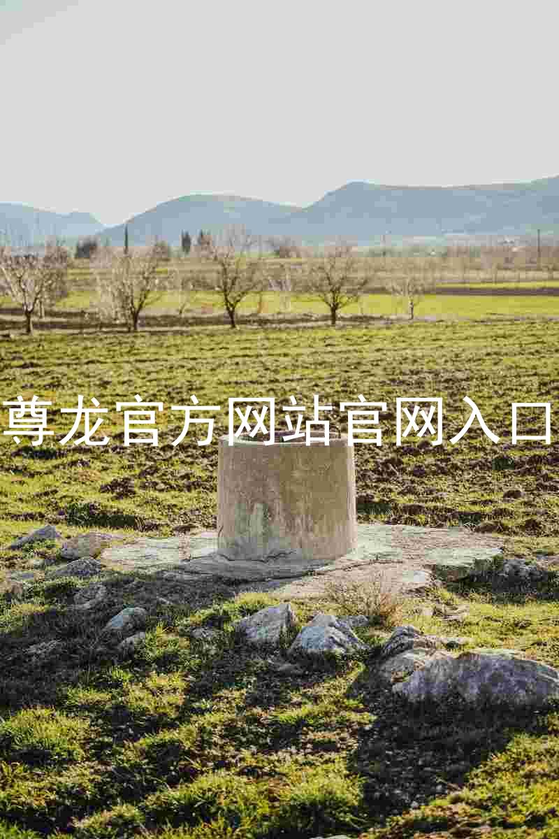 尊龙官方网站官网入口
