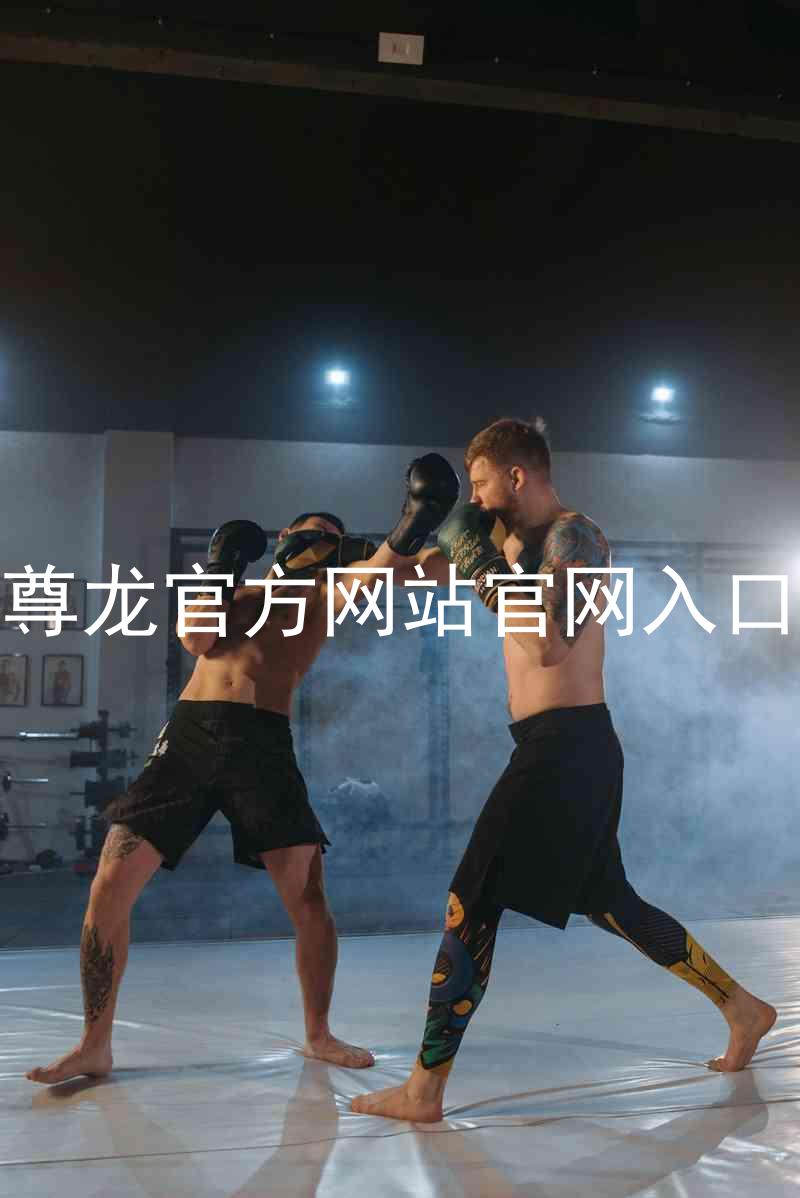 尊龙官方网站官网入口